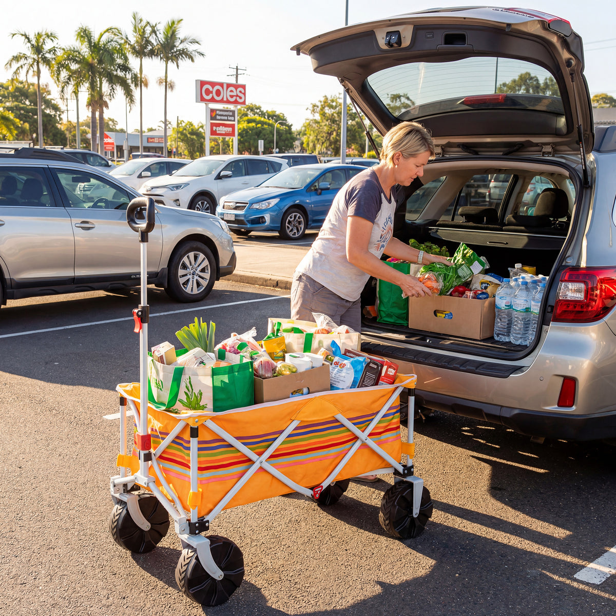 Quest Outdoors Summer Cart Wagon Trolley